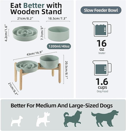 Ceramic Raised Slow Feeder Dog Bowl Set, Elevated 7.3inch Bowl and 8.2inch Puzzle Slow Dish with Wooden Stand for Medium and Large Dog, Anti-Gulping (2X Light Green+ Stand)
