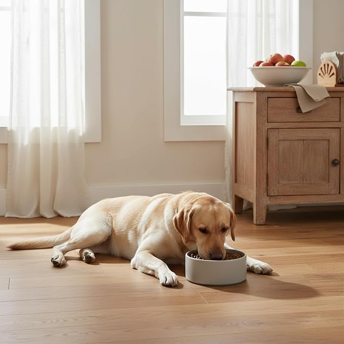 Ceramic Dog and Cat Bowl Modern Cute Weighted Food and Water Bowl Matte Glaze Pet Bowl for Replacement (Gray, 60.8 OZ)