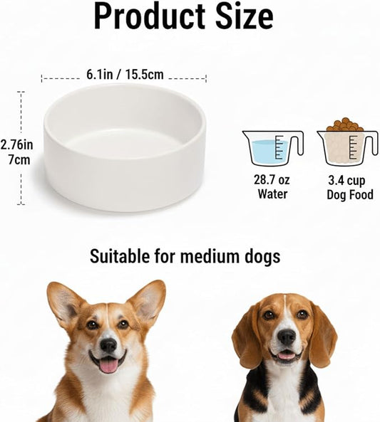 Ceramic Dog and Cat Bowl Modern Cute Weighted Food and Water Bowl Matte Glaze Pet Bowl for Replacement (White, 28.7 OZ)