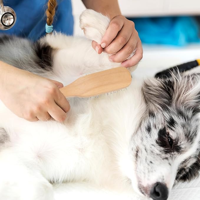 Portable Mini Pin Bamboo Hair Brush with Steel Bristles Detangling Brush Wig Hair Brush Small Wire Cushion Brush with Wood Handle Travel Natural Wood Comb with Metal Bristles for Women