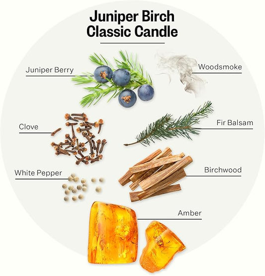 Apotheke Signature Candle Scented Candles for Home, Juniper Birch - 10.5 oz Seasonal Soy Wax Jar Candle - Long-Lasting Fall Scented Fragrance with Perfume-Grade Essential Oils