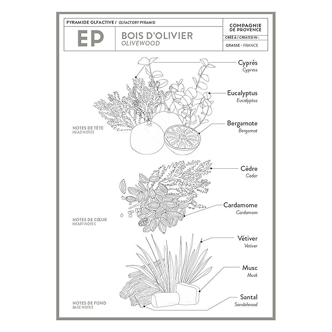 Compagnie de Provence Savon de Marseille Extra Pure Liquid Soap - Olive Wood - 16.7 Fl Oz Glass Pump Bottle and 33.8 fl oz Plastic Bottle Refill