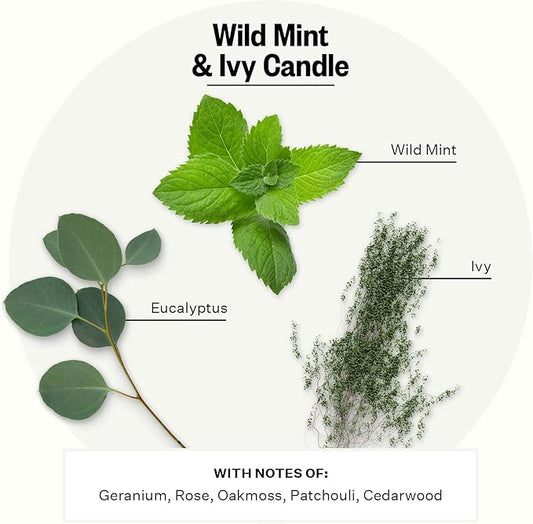 Apotheke 3-Wick Scented Candles for Home, Wild Mint & Ivy - 26 oz Soy Wax Jar Candle Gift for Women - Long-Lasting Fragrance with Perfume-Grade Essential Oils - Eucalyptus, Patchouli, Cedarwood & Rose