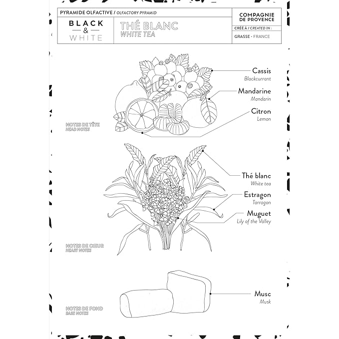 Compagnie de Provence Savon de Marseille Extra Pure Liquid Soap - White Tea - 33.8 fl oz Plastic Bottle Refill