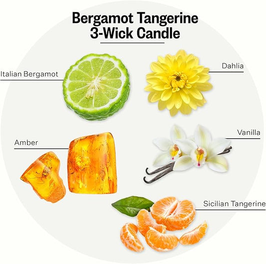 Apotheke 3-Wick Scented Candles for Home, Bergamot Tangerine - 26 oz Soy Wax Aromatherapy Jar Candle with Perfume-Grade Essential Oils - Gift for Women & Men - Bergamot, Tangerine & Sweet Dahlia