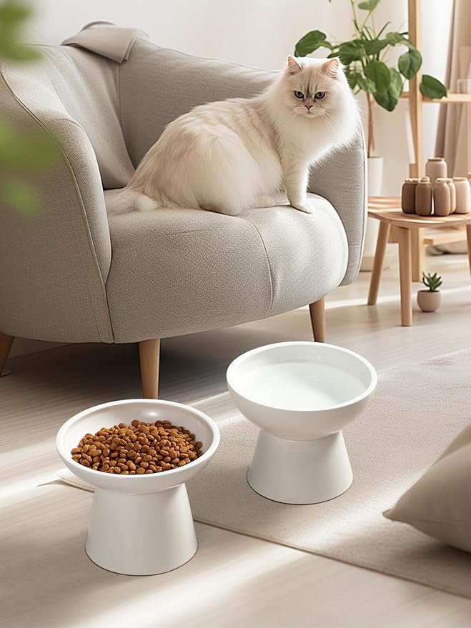 LoeJan Elevated Food and Water Bowls Set, Extra Wide and Raised Ceramic Feeder, Anti-Vomit Whisker-Free Pressure Cat Feeding Bowl for Kittens Adult Cats Small Dogs (White, Food Bowl)
