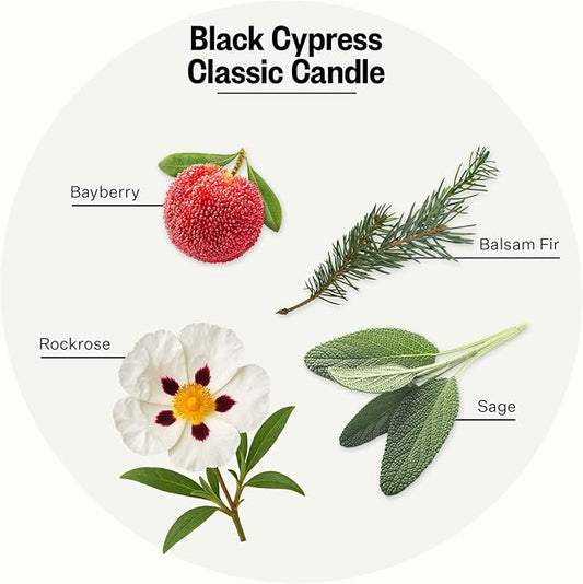 Apotheke Signature Candle Scented Candles for Home, Black Cypress - 10.5 oz Seasonal Soy Wax Jar Candle - Long-Lasting Fall Scented Fragrance with Perfume-Grade Essential Oils