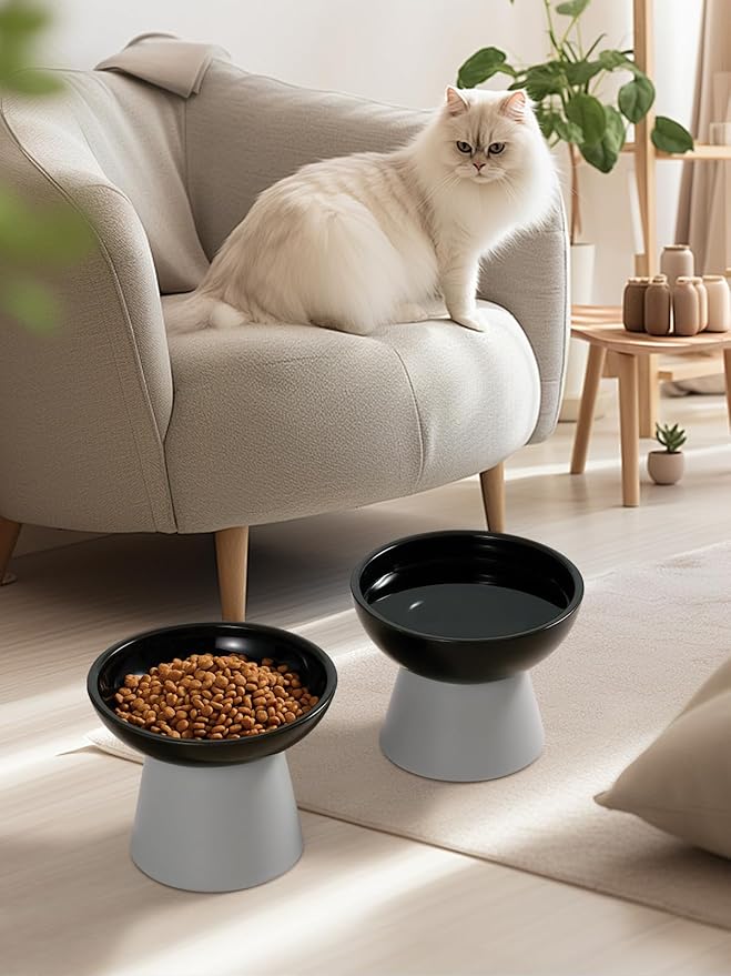 LoeJan Elevated Cat Food and Water Bowls Set, Extra Wide and Raised Ceramic Feeder, Anti-Vomit Whisker-Free Pressure Feeding Bowl for Kittens Adult Small Dogs (Black)
