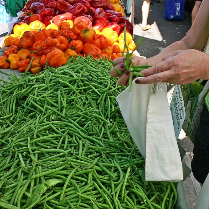 Simple Ecology Reusable Grocery Produce Shopping and Storage Bags, Organic Cotton Muslin, Large 3 pack
