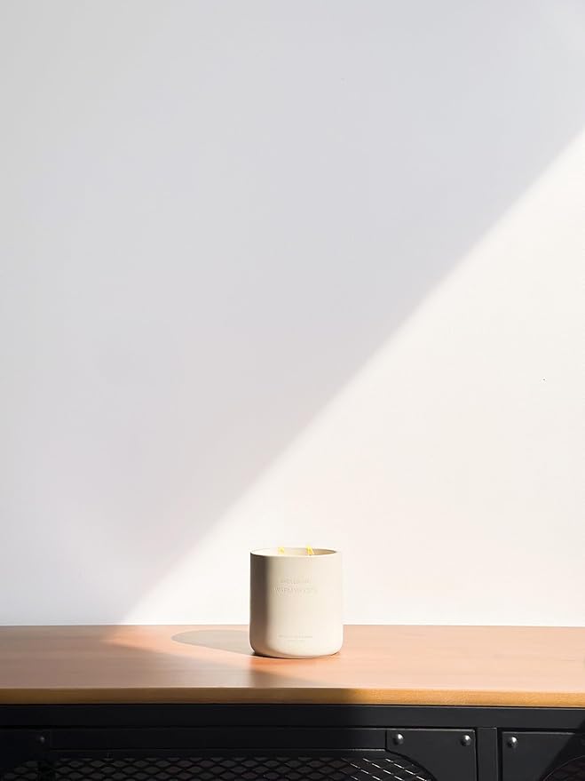 WHOLESOME. Orange + Tangerine Scented Non Toxic Candles - 100% Natural Coconut Wax Candle, 90 Hours Burn, 2 Wicks, Aromatherapy & Stress Relief Candles, Vegan Candle, 16 oz Concrete Jar