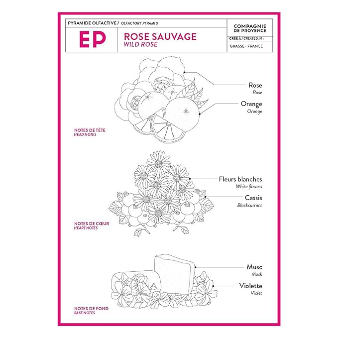 Compagnie de Provence Savon de Marseille Extra Pure Liquid Soap - Wild Rose - 16.7 Fl Oz Glass Pump Bottle and 33.8 fl oz Plastic Bottle Refill