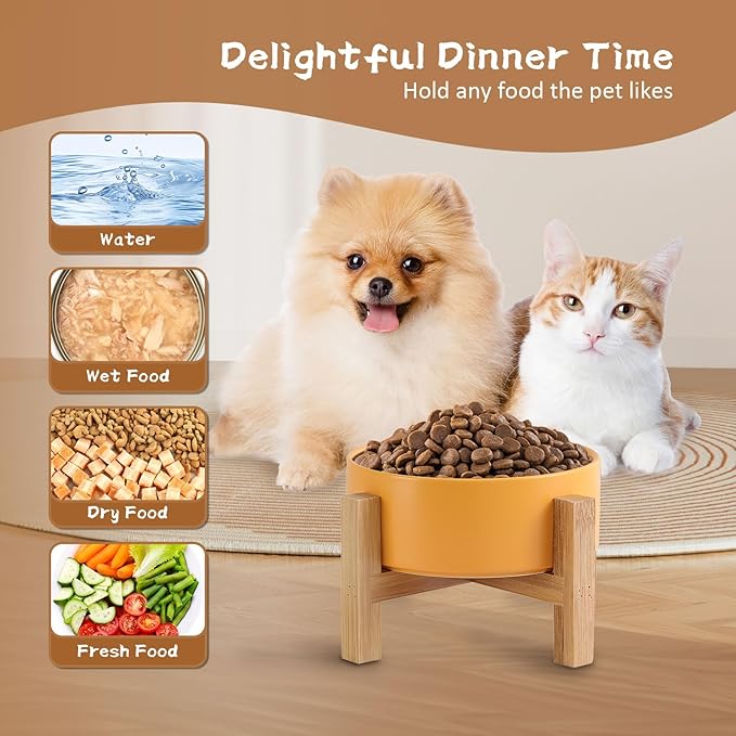Elevated Ceramic Cat Bowl - Cat Food Bowl with Bamboo Stand - Raised Dog Dish for Puppies - Anti Vomiting, Stress Free - 13.5 oz / 400 ml - Grey