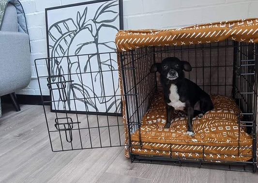 Molly Mutt Sheepy Wool Crate Mat - 100% Cotton Canvas Cover with Temperature-Regulating 100% Natural Wool-Filled Insert Dog Bed - Soft & Supportive Wool-Filled Bed - (30"x21"x2.5", Everywhere)