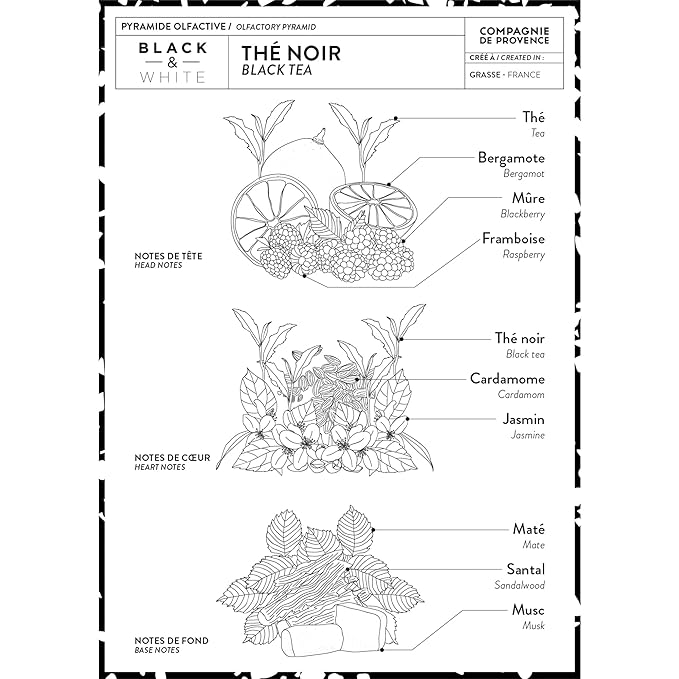 Compagnie de Provence Savon de Marseille Extra Pure Liquid Soap - Black Tea - 33.8 fl oz Plastic Bottle Refill