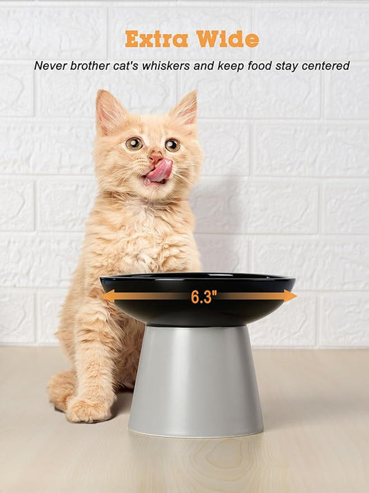 LoeJan Elevated Cat Food and Water Bowls Set, Extra Wide and Raised Ceramic Feeder, Anti-Vomit Whisker-Free Pressure Feeding Bowl for Kittens Adult Small Dogs (Black, Food Bowl)