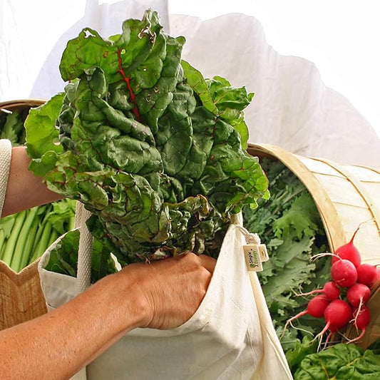 Simple Ecology Reusable Grocery Produce Shopping and Storage Bags, Organic Cotton Muslin, Set of 10 (2 ea. XL, L, M, S, XS)