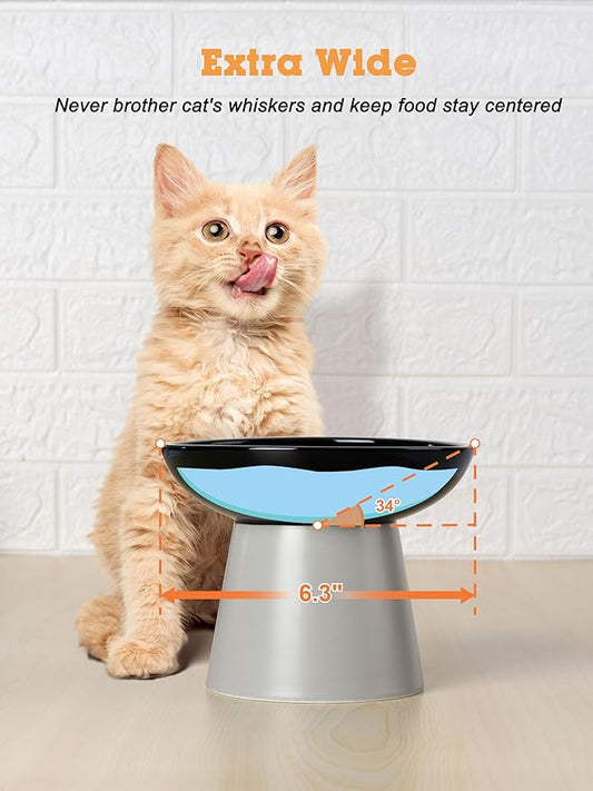 LoeJan Elevated Cat Food and Water Bowls Set, Extra Wide and Raised Ceramic Feeder, Anti-Vomit Whisker-Free Pressure Feeding Bowl for Kittens Adult Small Dogs(Black, 2 Pack)