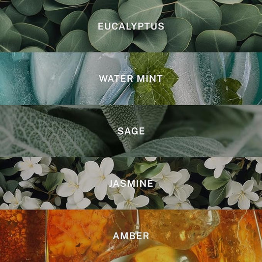 Hotel Lobby Candle Spa – Luxury Hand-Poured 9.75oz 100% Soy Wax with Eucalyptus, Water Mint, Sage, Jasmine, and Amber – Paraffin-Free, Infused with Essential Oils, 65-Hour Clean Non-Toxic Burn