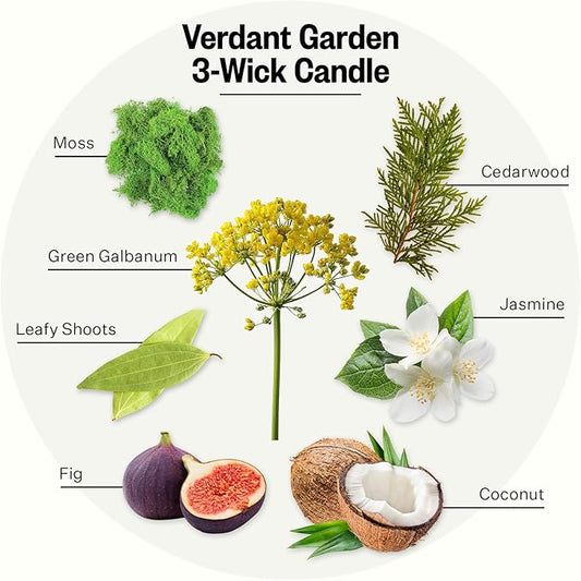 Apotheke 3-Wick Scented Candles for Home, Verdant Garden - 26 oz Soy Wax Jar Candle Gift for Women - Long-Lasting Fragrance with Perfume-Grade Essential Oils - Cedarwood, Jasmine, Fig & Coconut