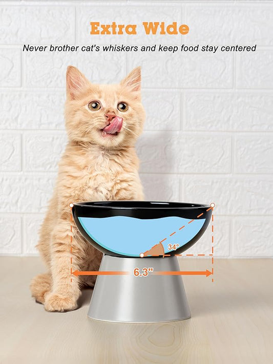 LoeJan Elevated Cat Food and Water Bowls Set, Extra Wide and Raised Ceramic Feeder, Anti-Vomit Whisker-Free Pressure Feeding Bowl for Kittens Adult Small Dogs (Black)