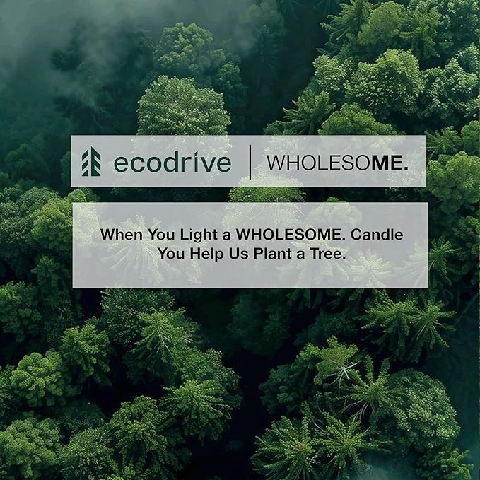 WHOLESOME. Jasmine + White Tea Scented Non Toxic Candles - 100% Natural Coconut Wax Candle, 90 Hours Burn, 2 Wicks, Aromatherapy & Stress Relief Candles, Vegan Candle, 16 oz Concrete Jar