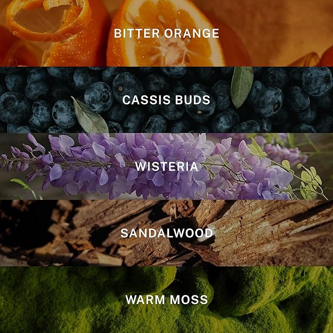 Hotel Lobby Positano Candle – Hand-Poured 9.75oz 100% Soy Wax with Bitter Orange, Cassis Buds, Wisteria, Sandalwood, and Warm Moss – Paraffin-Free, Infused with Essential Oils, 65-Hour Non-Toxic Burn