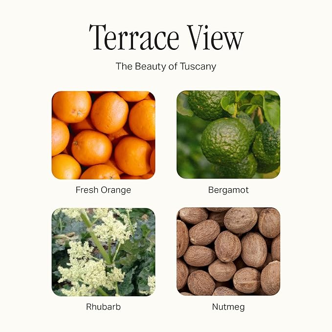 Preston Lane The Hand Wash, Scented Hand Soap, Gently Cleanses, Hydrating & Nourishing