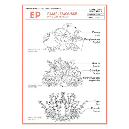 Compagnie de Provence Savon de Marseille Extra Pure Liquid Soap - Pink Grapefruit - 16.7 Fl Oz Glass Pump Bottle and 33.8 fl oz Plastic Bottle Refill